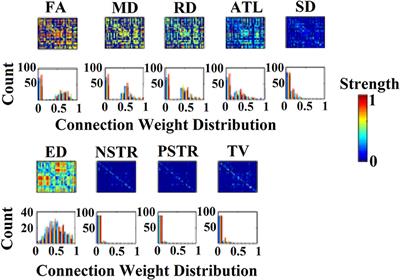 Improving the Reliability of Network Metrics in Structural Brain Networks by Integrating Different Network Weighting Strategies into a Single Graph